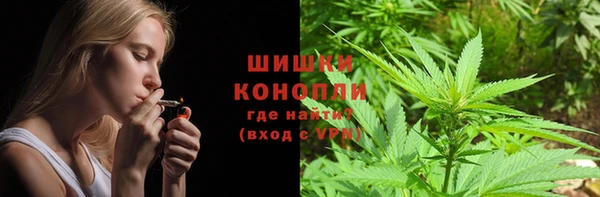 винт Алзамай