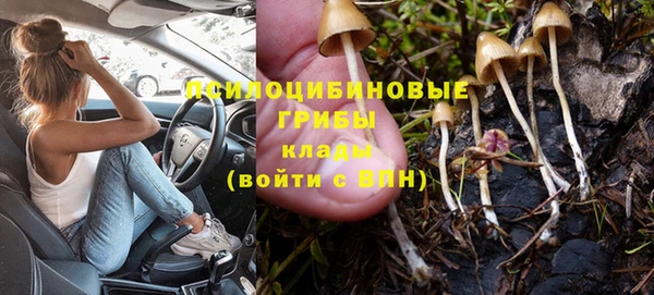 винт Алзамай