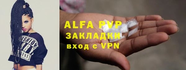 амф Алексин
