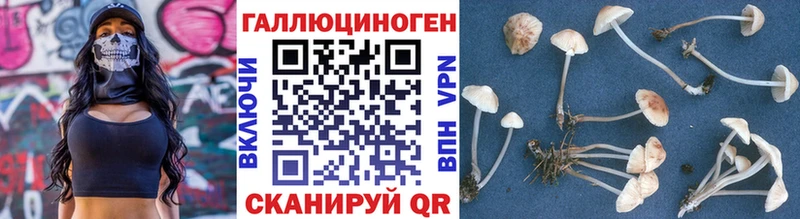 Галлюциногенные грибы Magic Shrooms блэк спрут tor Апатиты как найти закладки