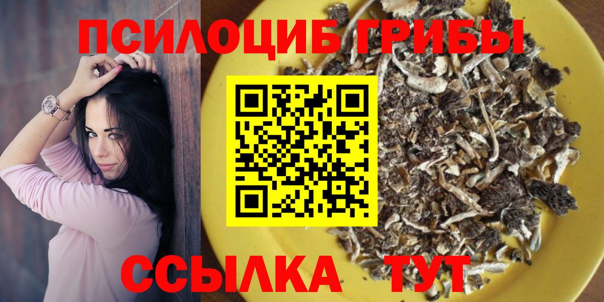 Галлюциногенные грибы Psilocybine cubensis  Вход с VPN  Апатиты 