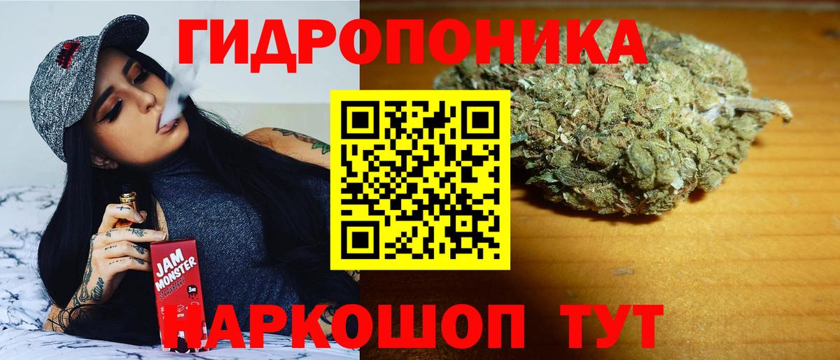 Канабис Ganja  Вход с VPN  Канабис ГИДРОПОН  Канабис планчик  Апатиты 